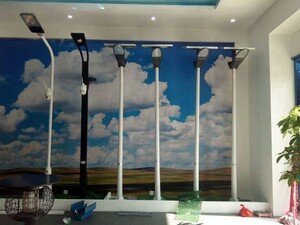 ������Ʒ